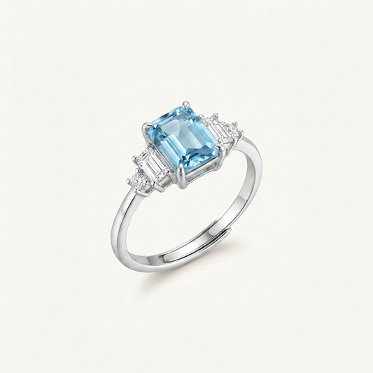 Clear Vision Amethyst & Aquamarine Silver Ring