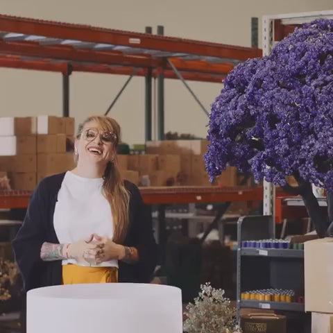 Untamed Spirit - Jade Dragon Feng Shui Bracelet