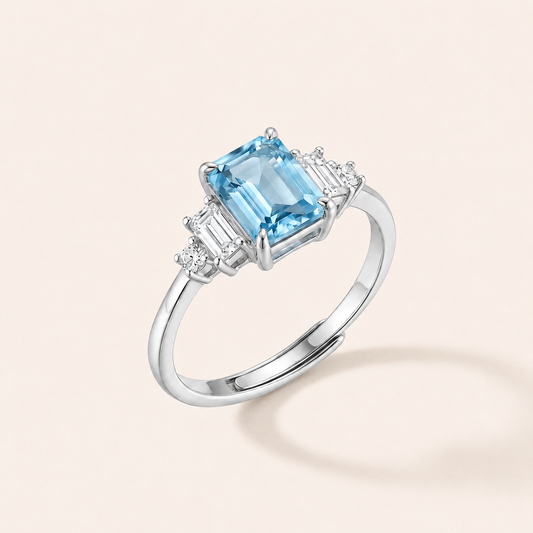 Clear Vision Amethyst & Aquamarine Silver Ring